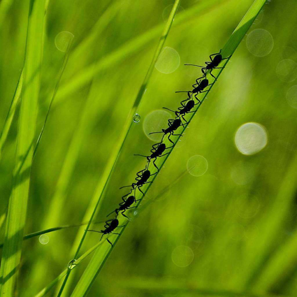 Despacho de contenedores retiro indirecto