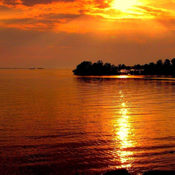 Exigencia de Pesaje VGM